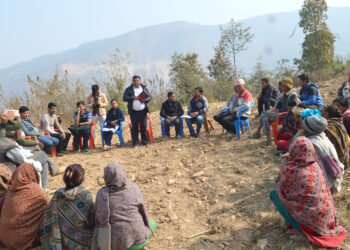 यो वर्ष सुकाजोरमा जुनार जोन कार्यक्रम मार्फत १२ हजार सुन्तला जातको विरुवा रोपिने