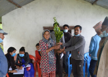 सुकाजोरका किसानलाई सुन्तला जातको विरुवा वितरण