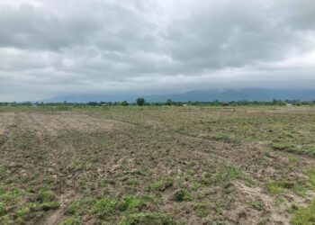 सयौं हेक्टर सरकारी जग्गा भू–माफिया र व्यक्तिको कब्जामा