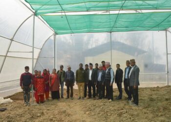 बेतालीको जनजागृत माविमा बन्यो ‘हाइटेक नर्सरी’, विद्यार्थीलाई आयआर्जनमा सहयोग पुग्ने