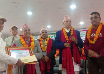 पत्रकार रमेश ढुंगेल सम्मानित