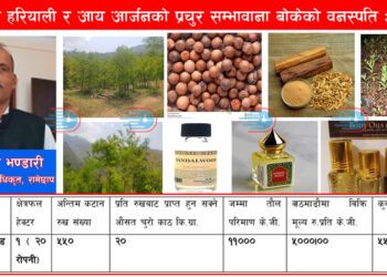 सुख्खा ग्रस्त जिल्ला रामेछापमा हरियाली र आयआर्जनको प्रचुर सम्भावाना बोकेको वनस्पति: श्रीखण्ड