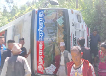 रामेछापको सुनापतिमा यात्रुवाहक बस दुर्घटना, सात यात्रु घाइते