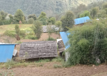 गाउँका खेतीयोग्य जमिन बाँझै, धेरैजसाे जमिन जंगलमा परिणत