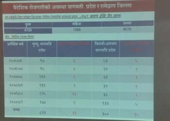 रामेछापबाट ९ महिनामा ६ हजारभन्दा बढी युवा वैदेशिक रोजगारीमा
