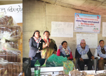 गाउँमै बन्‍न थाल्यो कोदोको बिस्कुट, आत्मनिर्भरतातर्फ लिखुतमाकोशीका महिला